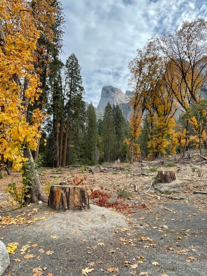 Yosemite Escapes - Pine Mountain Lake グローヴランド エクステリア 写真
